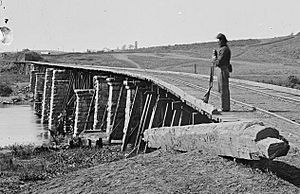 Strawberry-plains-bridge-cropped