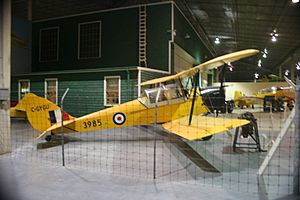 Tiger Moth (Sask)