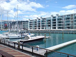 Viaduct Basin Auckland 01.jpg