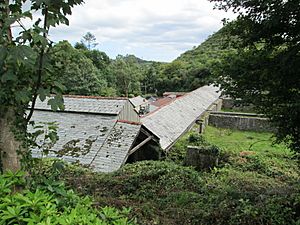 Wheal Martyn works