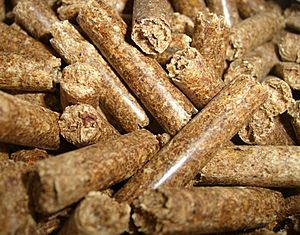 Wood pellets