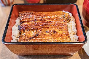 小川菊鰻魚飯 (49287165332)