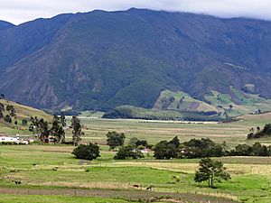 Arcabuco Rural Detalle.JPG