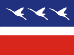 Bandeira Guaratingueta SaoPaulo Brasil 2