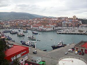 Bermeo Euskal Herria1.JPG