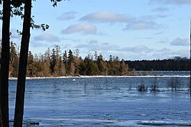 View of Big Shoal Cove near the southeastern end of Drummond Island