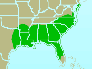 Brown-headed Nuthatch-rangemap.png