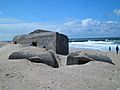 Bunker verschoben - panoramio