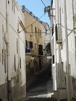 Cadaques backstreet 2009 08 YAN1