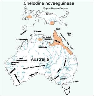 Chelodina novaeguineae distribution map.svg