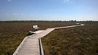 Clara Bog walkway