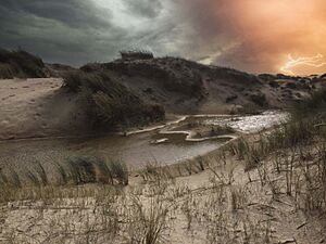 DeHors-Texel-SjoerdMartens