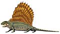 Dimetrodon grandis