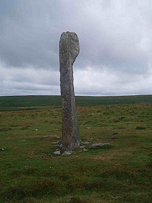 Drizzlecombe large stone.jpg