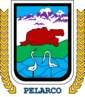 Coat of arms of Pelarco