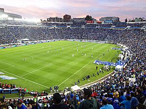 Estadio Azul-15