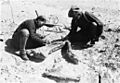 Excavation of Alectrosaurus hind limb in 1923