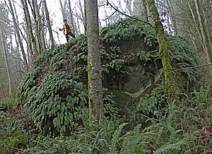 Fantastic Erratic on Cougar Mountain.jpg