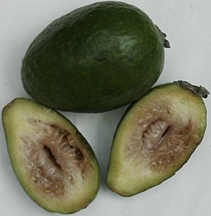 Feijoa cut