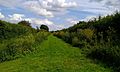 Flag Fen Droveway