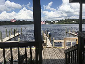 View of a river in Gibsonton