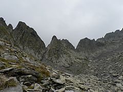 Gory Fogaraskie (Fagaras Mountains) 44