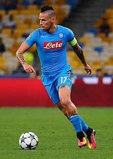 Hamsik 2016