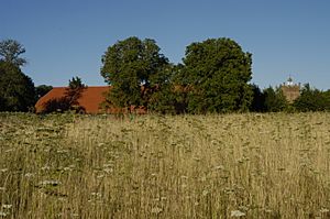 Harmondsworth Great Barn, 19 July 2015, from the west