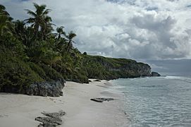 Henderson Island-110240