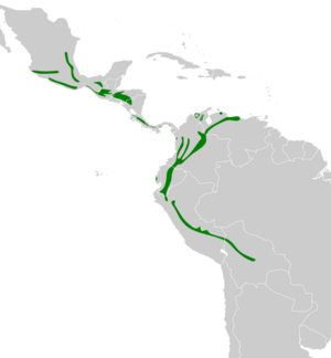 Henicorhina leucophrys map.svg