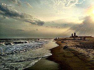 Jacob Riis Beach New York City 2013 Shankbone 3