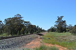 Kikoira Railway Line