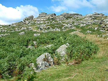 Kilmar Tor - geograph.org.uk - 7112.jpg