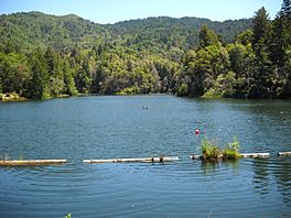 Lake Lagunitas.jpg