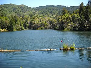 Lake Lagunitas