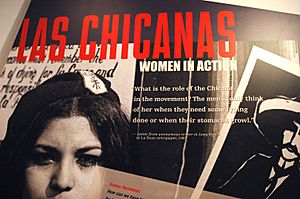 Las Chicanas Poster