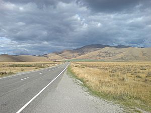 Mackenzie Country Typical Colour