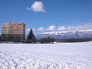 Meyrin snow