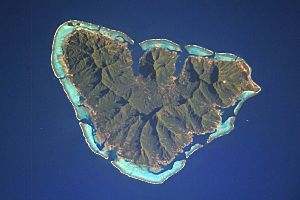 Moorea ISS006