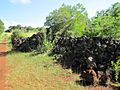 Oahu-PuuoMahukHeiau-lowerwall-sidepath