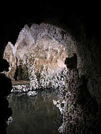 Painshill Park 013 Grotto