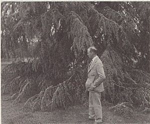 Paul Stark Sr. pays his respects at Luther Burbank's gravesite