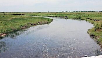 Rattlesnake Creek at Zenith KS.jpg