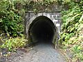 Rimutaka Incline 08