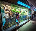 Shedd Display