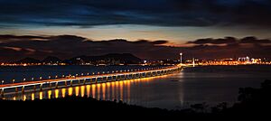 Shenzhen Bay Bridge 2