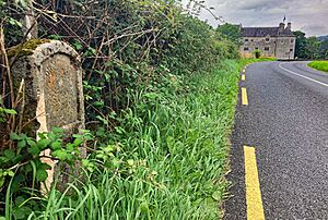 The Milestone by Parke's Castle