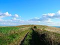 Thundersbarrow Hill - geograph.org.uk - 54113