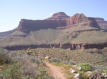 Tonto-trail.jpg