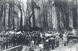 Tropas de Cornelio Saavedra en la Araucanía